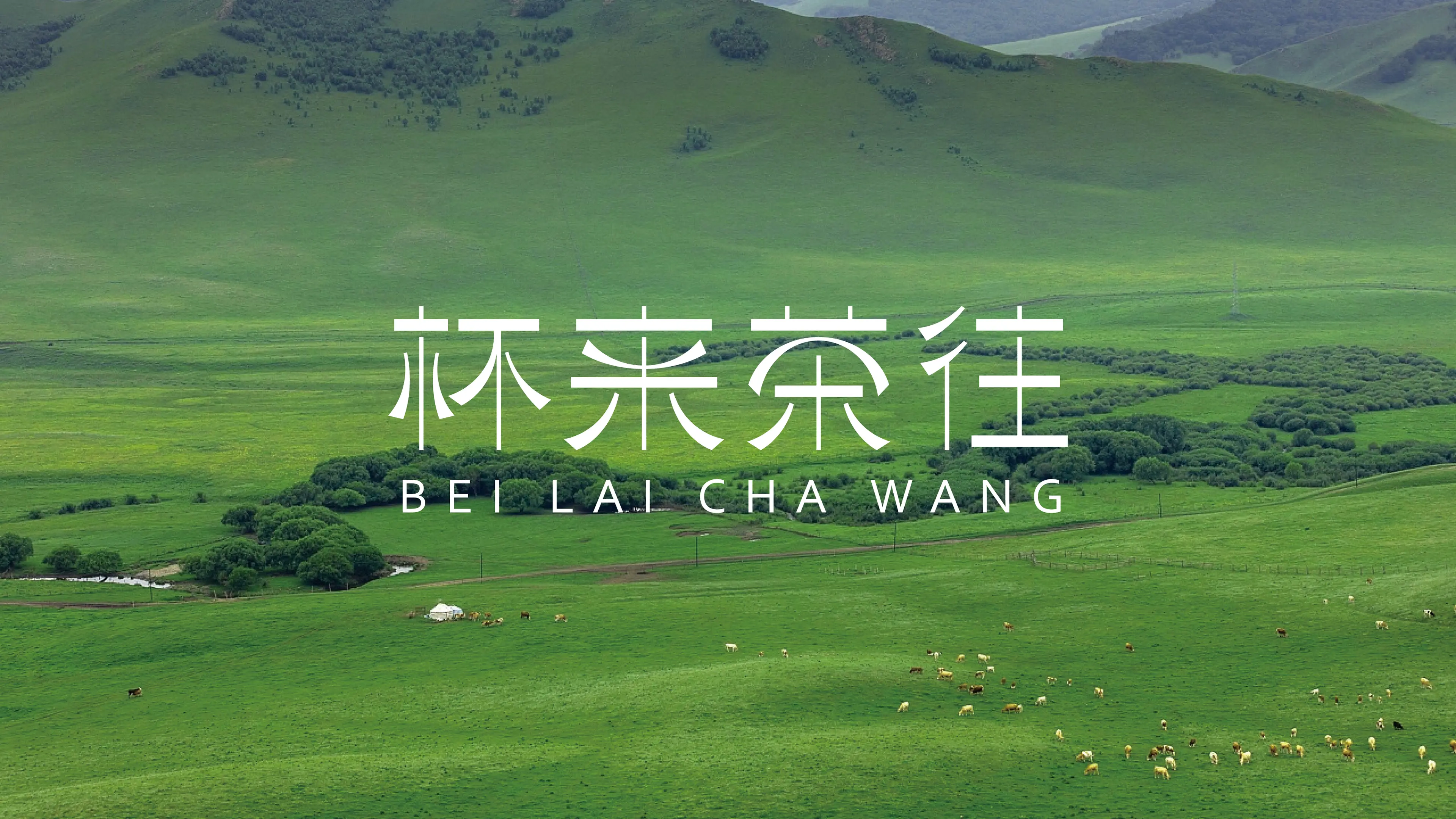 BEI LAICHA WANG