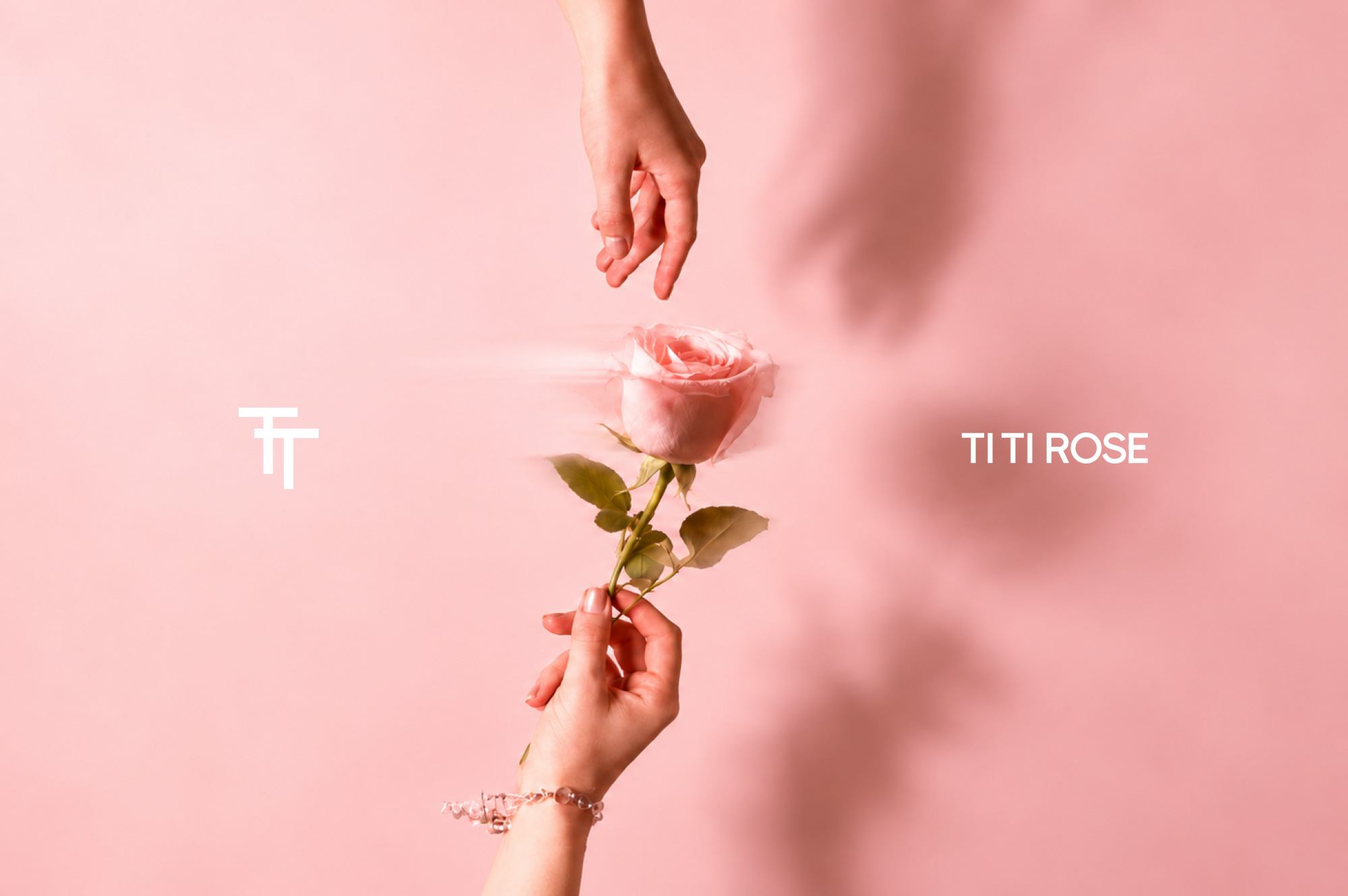 TITI ROSE