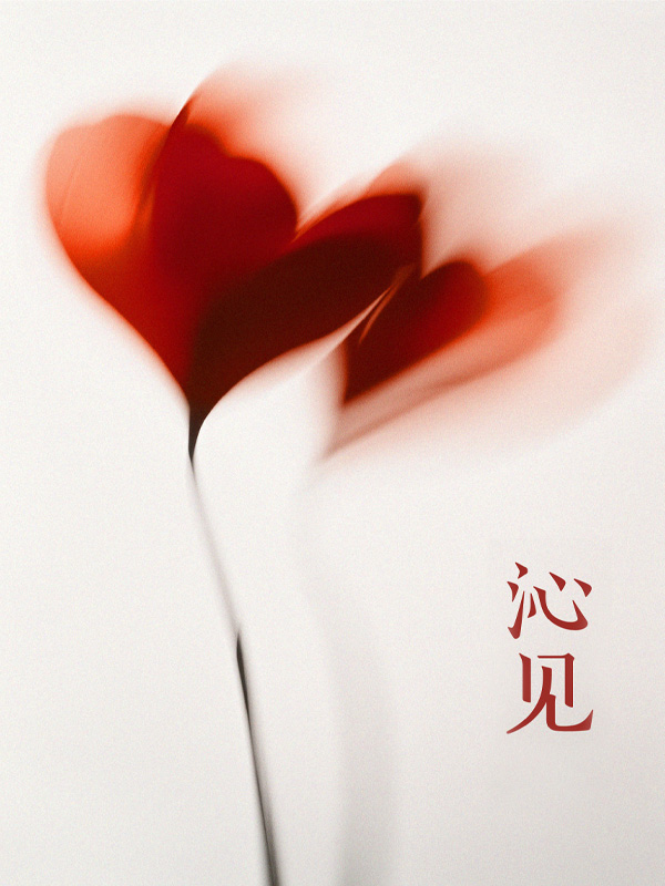 沁见