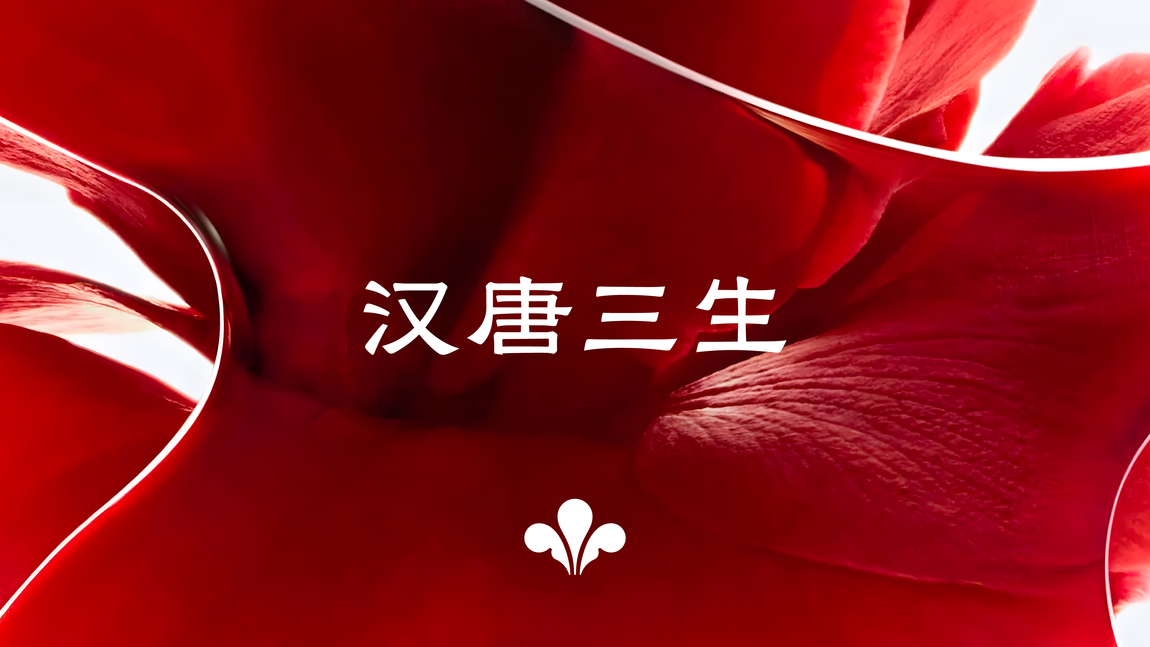汉唐三生