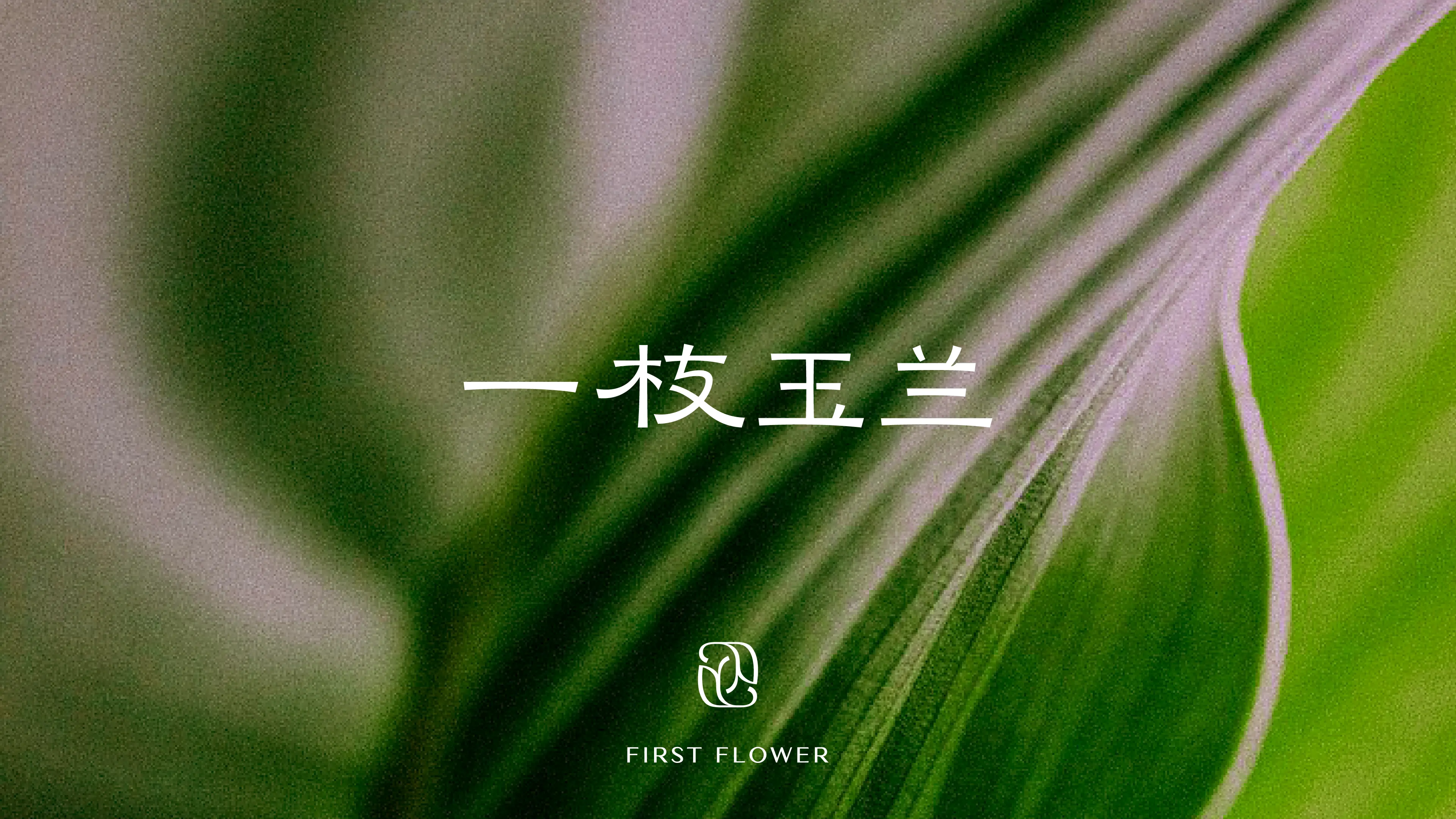 一枝玉兰