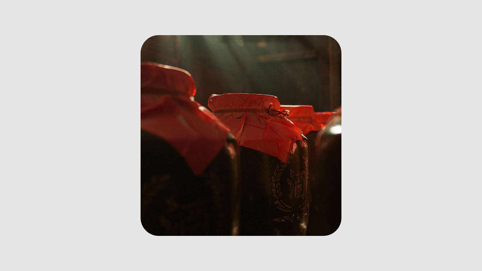 undefined 合成 2_1.gif